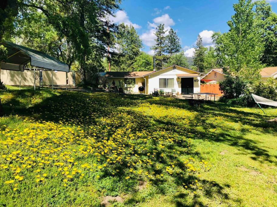 Sierra Sunset Cottage -Yosemite Area Vacation Cottage Ahwahnee Exterior photo